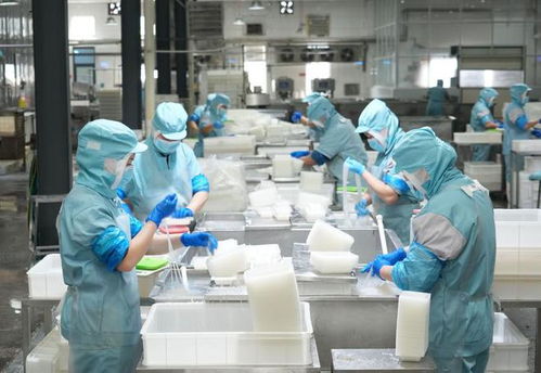 樂陵 小魔芋撬動(dòng)大市場(chǎng)，小食品生產(chǎn)線展現(xiàn)產(chǎn)業(yè)新活力