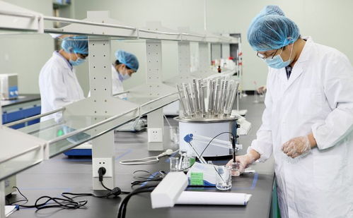 內(nèi)外兼修 從食品包裝機(jī)械看現(xiàn)代美的雙重邏輯